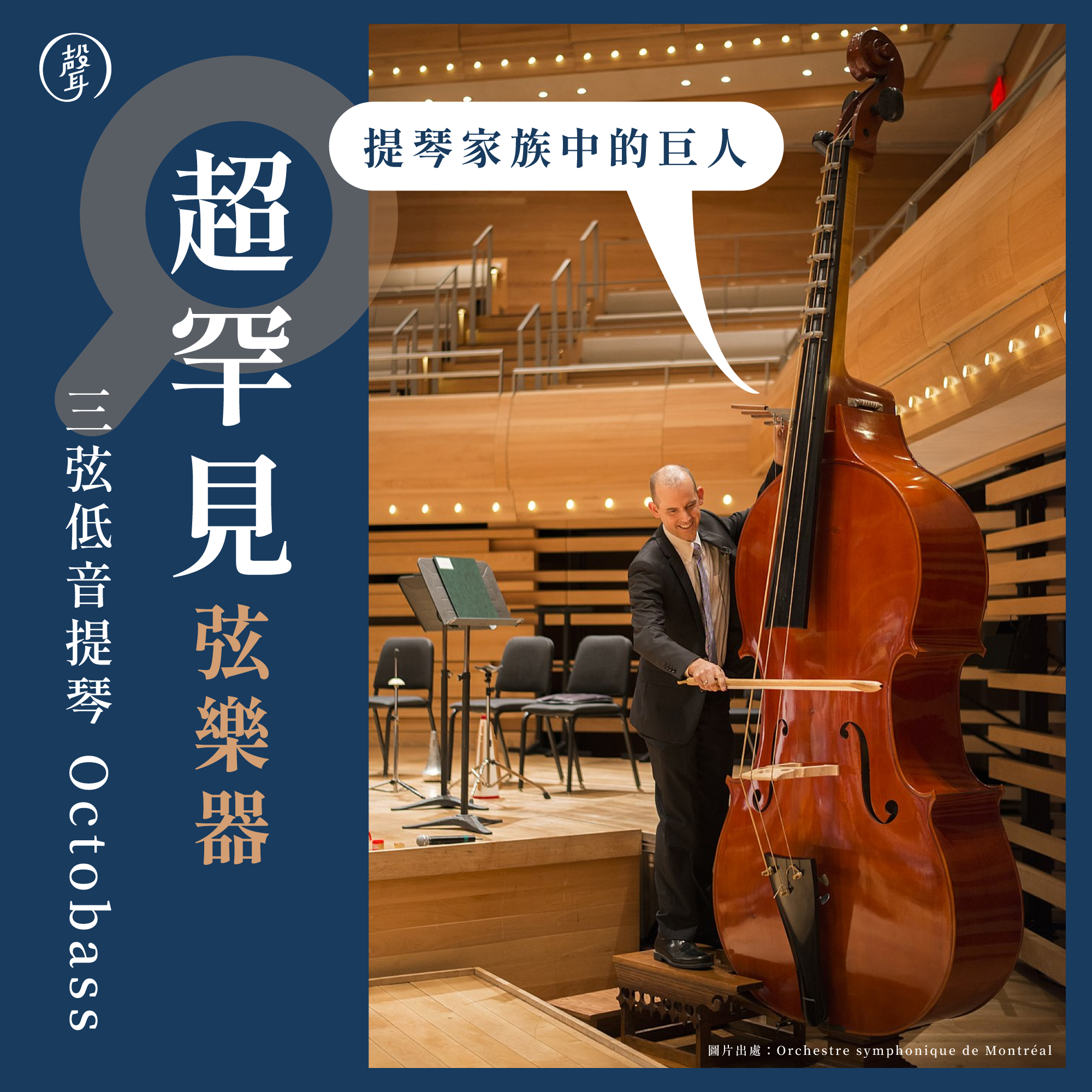 極罕見の超大弦樂器：三弦低音提琴